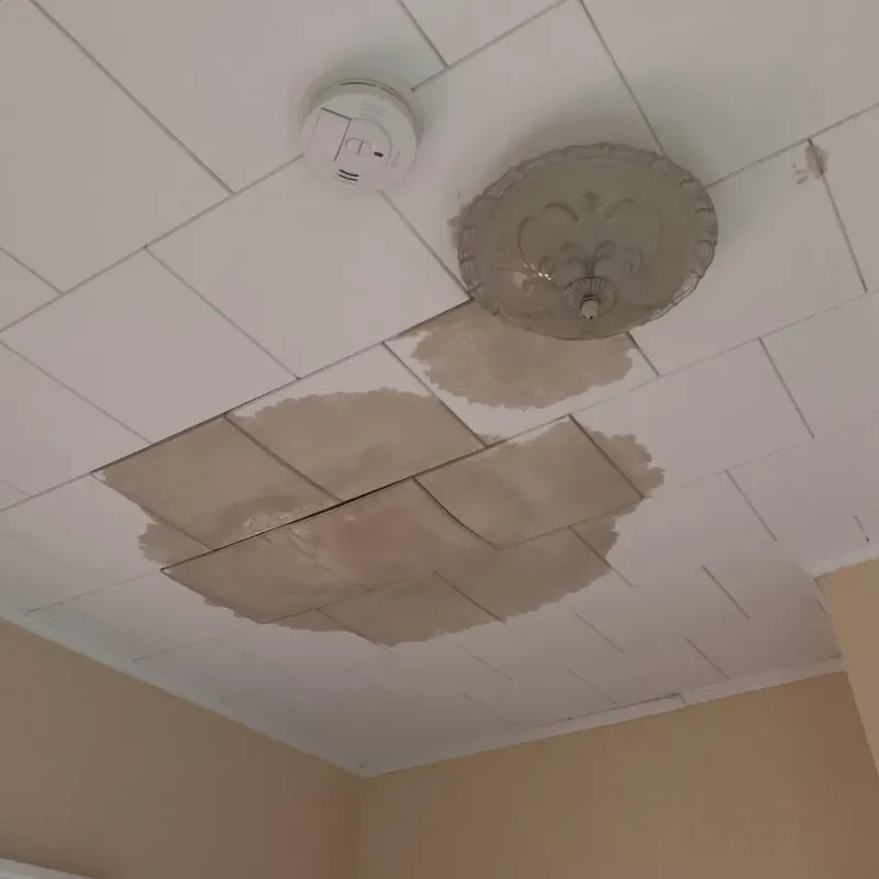 Ceiling Water Damage Repair in Bryant, AR