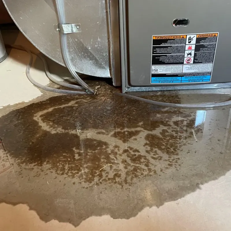 Pipe Burst and Leak Restoration in Bryant, AR