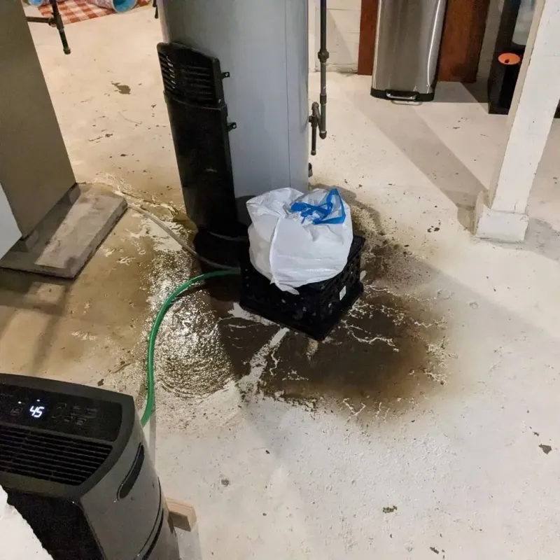 Sewage Backup Cleanup Service in Bryant, AR